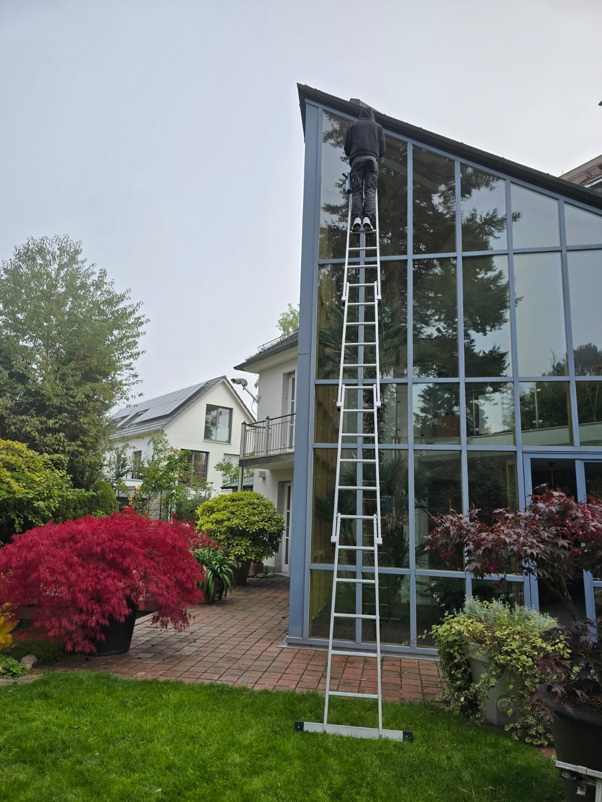 Fensterreinigung